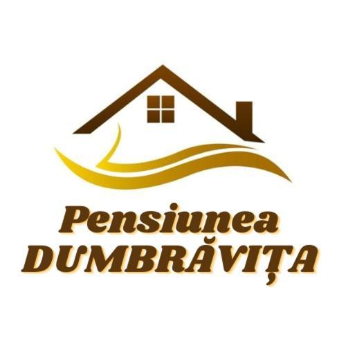 Pensiunea Dumbravita Dumbrava  Εξωτερικό φωτογραφία